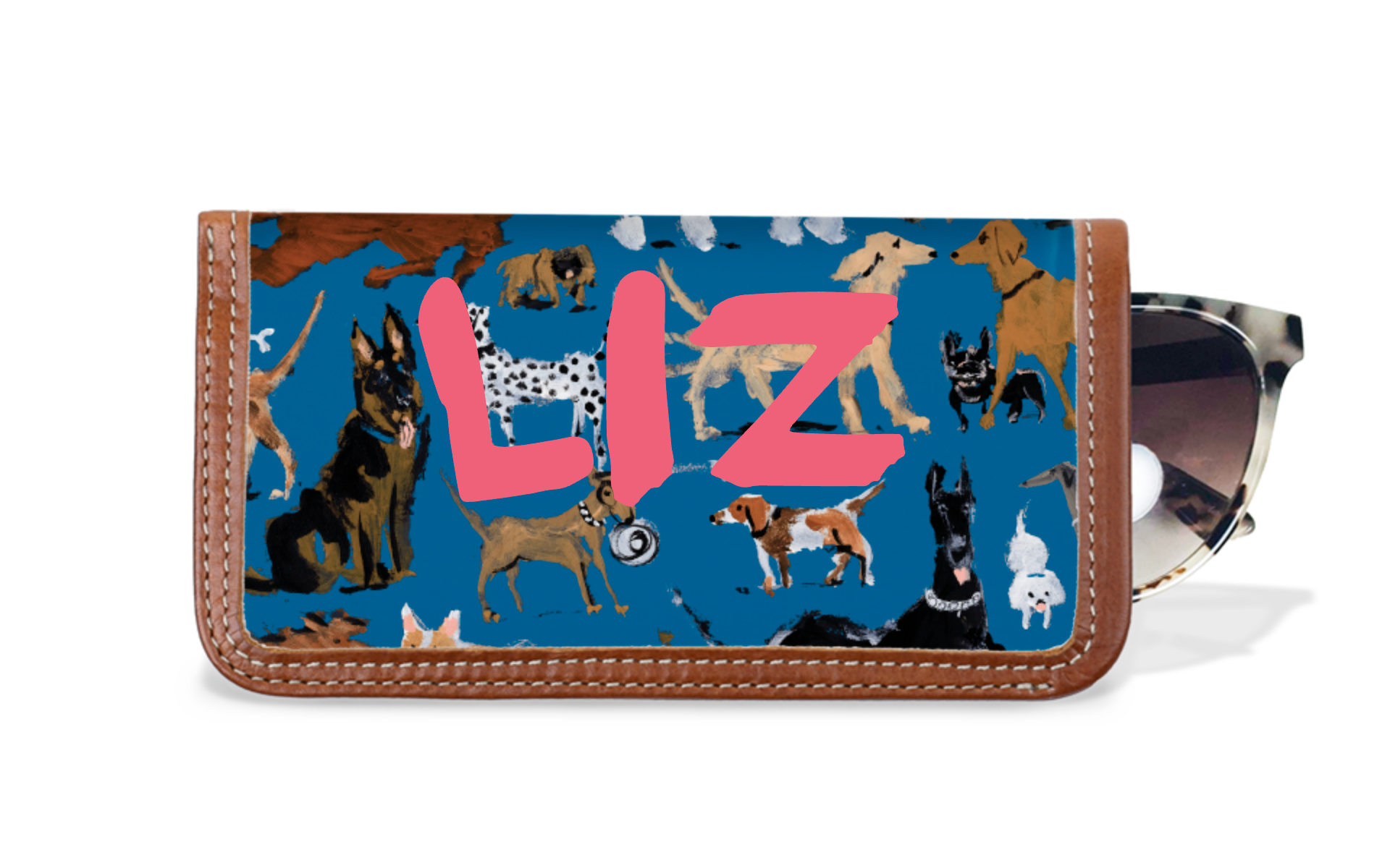 Eyeglass Case × Drawbertson