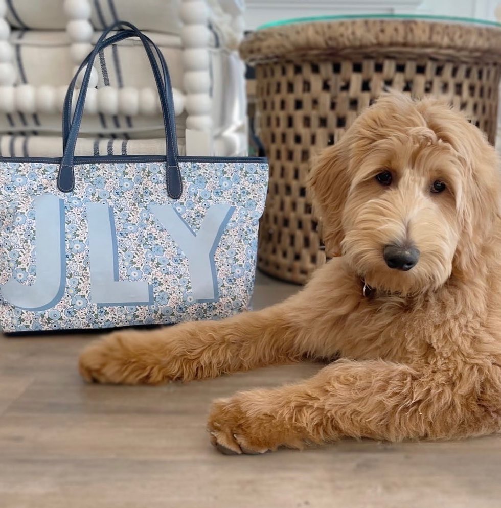 Monogrammed Tote Bags 12 Adorable golden doodle dog with Barrington tote bags, including a blue floral monogrammed zippered tote from the monogrammed tote bags collection.